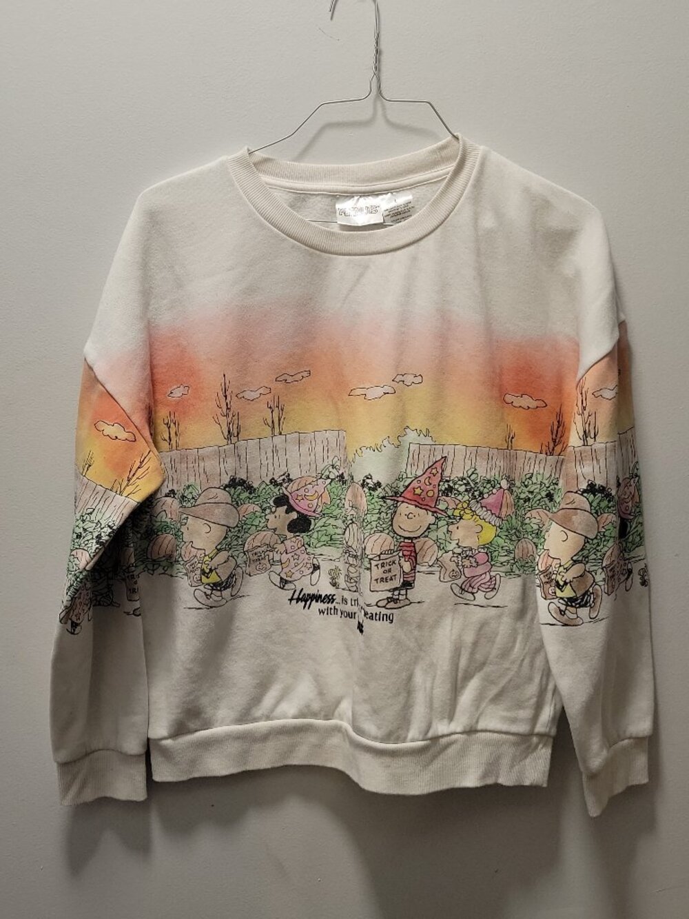 Peanuts Halloween Sweatshirt Ladies Size large L Fall festive Charlie Brown cozy